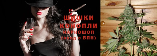 прущие крисы Новодвинск