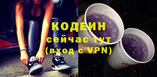 ECSTASY Алзамай