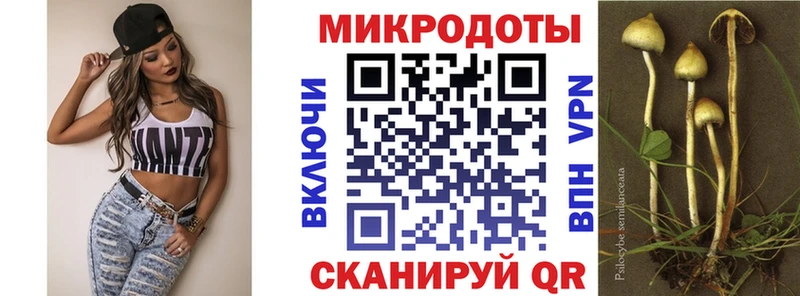 что такое   Удомля  Псилоцибиновые грибы GOLDEN TEACHER 